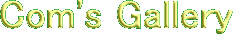Com's Gallery