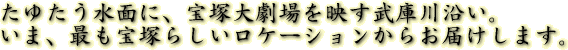 ł˂炵P[V